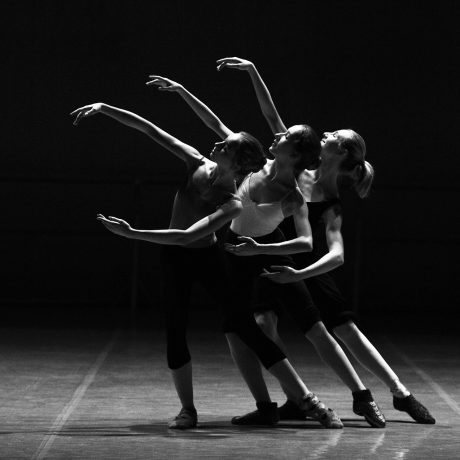 ballerinas-g812b5f8a5_1920